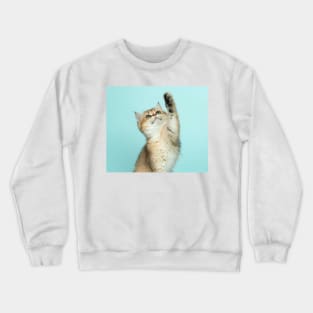 Pussycat Crewneck Sweatshirt